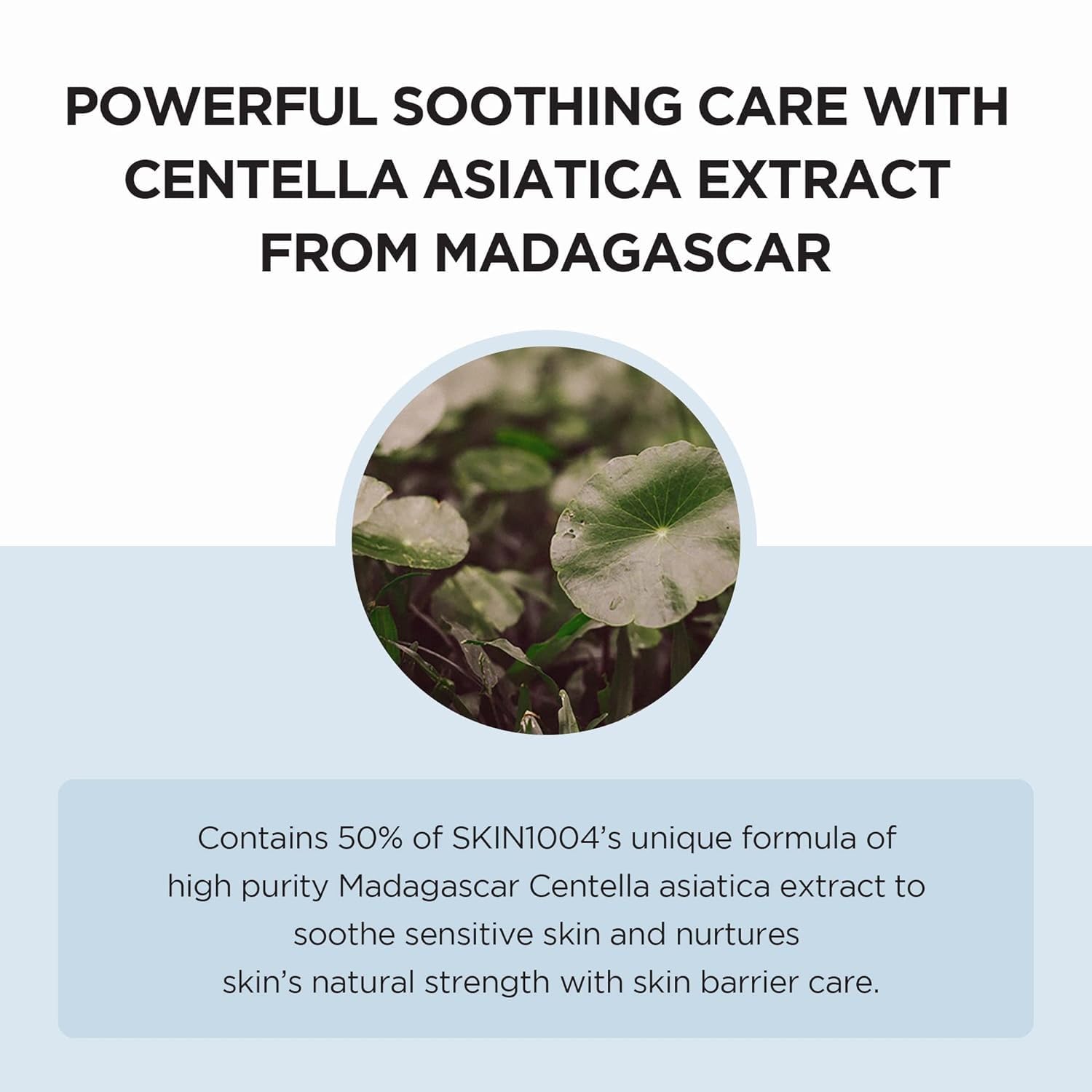 SKIN1004 Madagascar Centella Hyalu-Cica Moisture Cream 2.53 fl.oz, 75ml